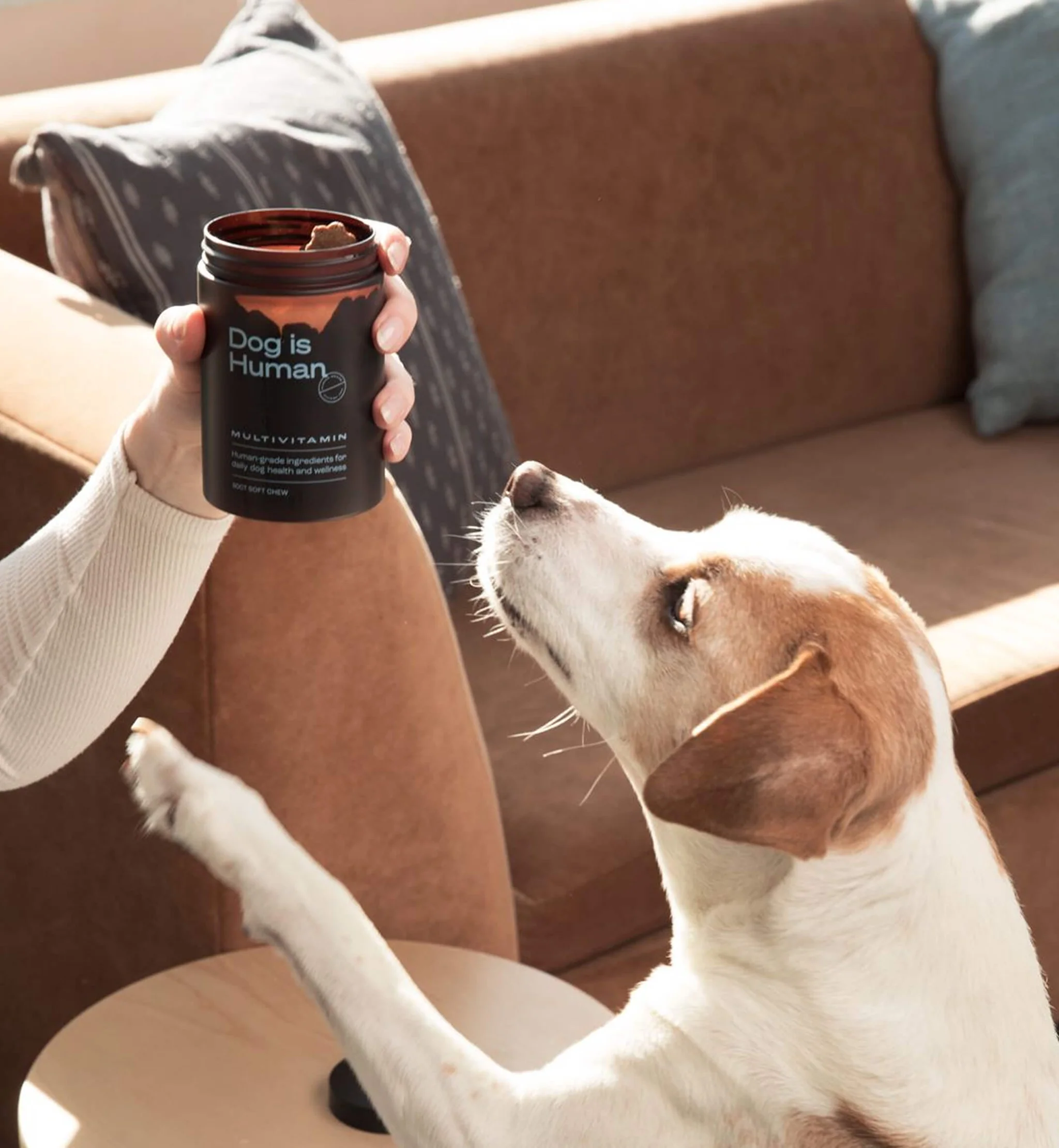 Human-Grade Health for Dogs
